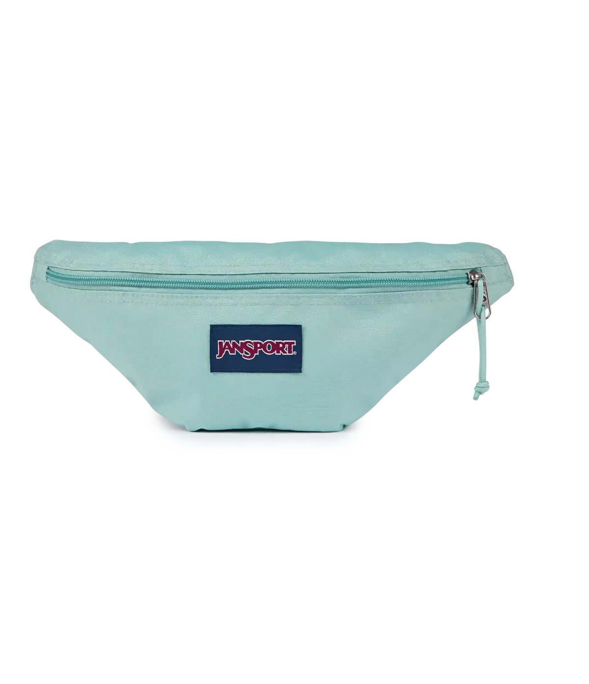Swing Waistpack